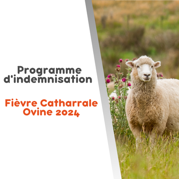 Visuel site 363x363 (2)